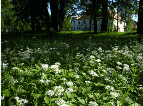 Польша туристическая. Где пожить туристу