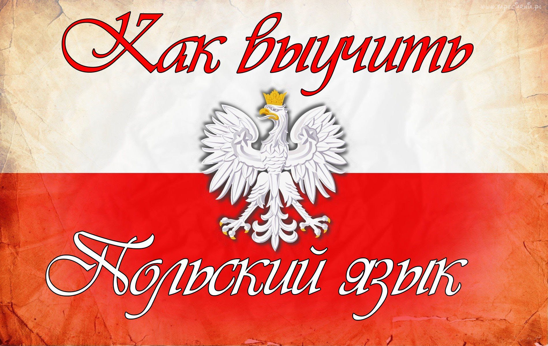 Не бойтесь польского языка. Советы начинающим изучать язык