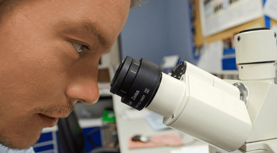 Академия наук Украины объявила конкурс на стажировку молодых ученых в Польше