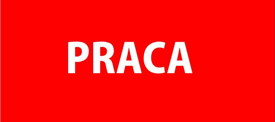 Вакансии на польских сайтах за первую неделю мая