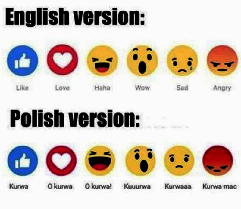 Как ругаються поляки
