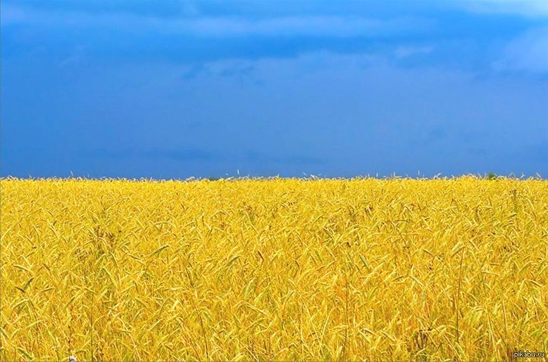 Генеральне консульство України у Кракові оформлює документи для новонароджених українців з усієї Польщі