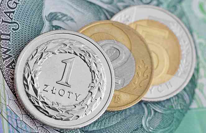 Майже 40% українських заробітчан скаржаться на малі зарплати в Польщі