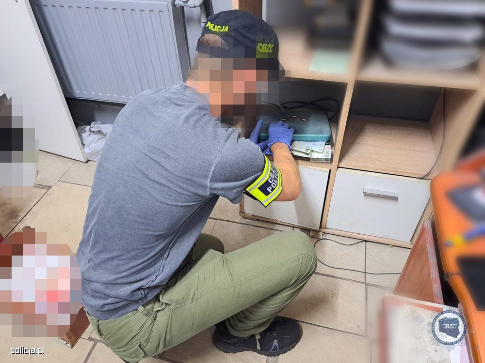 Викрита група, яка керувала фальшивими інтернет-магазинами в Польщі
