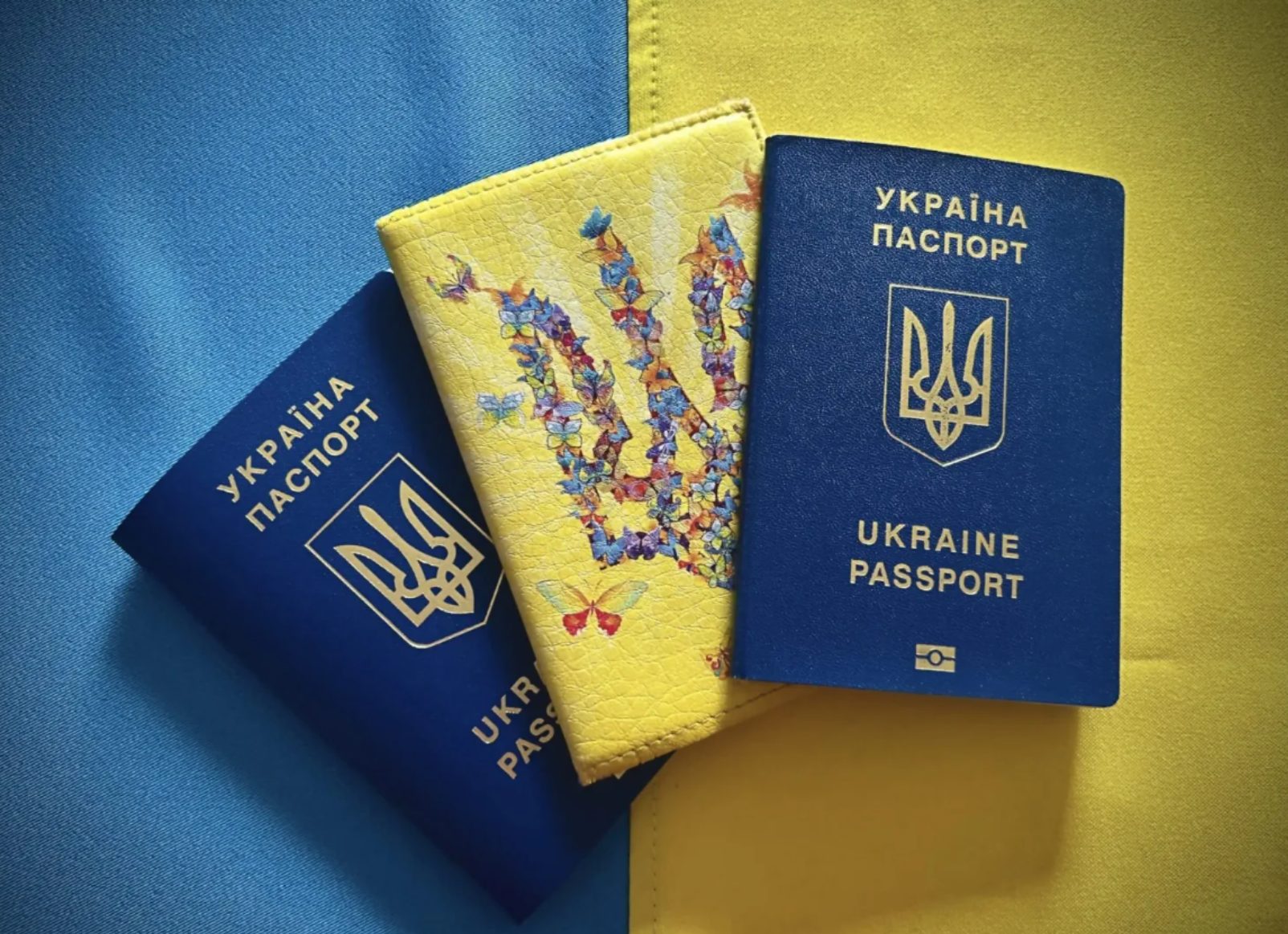 Україна запустила нову електронну чергу для консульських послуг за кордоном
